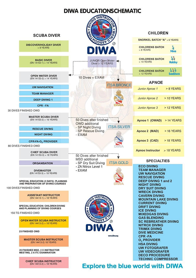 Schéma výcvikového systém organizácie DIWA. © 2016 http://diwadiving.com/wp-content/uploads/2013/12/DIWA-Organigramm-en-Ingles.jpg<br />